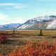 Imagine wanting to drill for oil in a place this gorgeous.